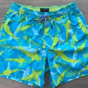 Shark Pattern American Eagle Bathing Suit